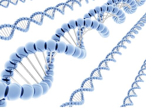 生物和生物医学科学专业